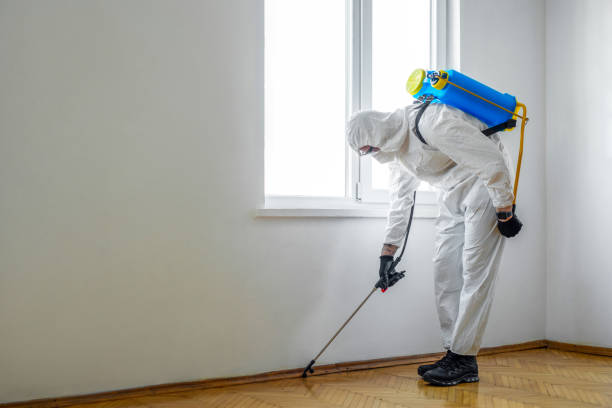 Professional Pest control in Hill City, KS